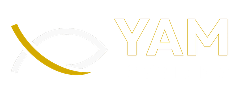 YAM SYSTEMS